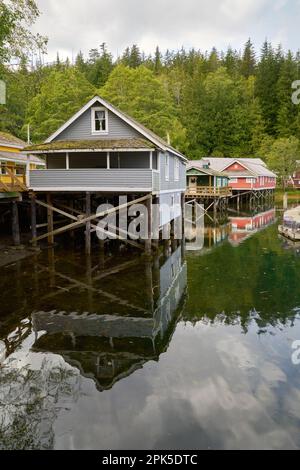 Telegraph Cove edifici storici Boardwalk su Pilings verticale. Il porticciolo di Telegraph Cove e le sistemazioni costruite su pilings che circondano questa storia Foto Stock