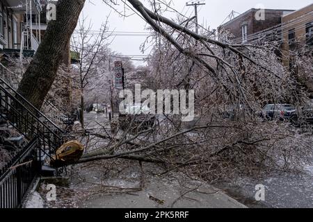 Montreal, CANADA - 5 aprile 2023: La tempesta di pioggia gelida ha danneggiato un albero Foto Stock