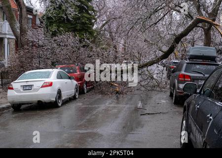 Montreal, CANADA - 5 aprile 2023: Auto sotto l'albero ghiacciato rotto dopo la pioggia gelida Foto Stock