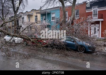 Montreal, CANADA - 5 aprile 2023: Auto sotto l'albero ghiacciato rotto dopo la pioggia gelida Foto Stock