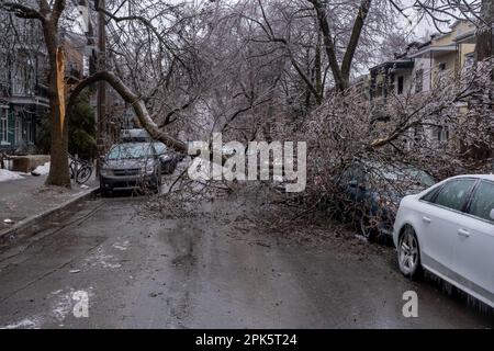 Montreal, CANADA - 5 aprile 2023: Auto sotto l'albero ghiacciato rotto dopo la pioggia gelida Foto Stock