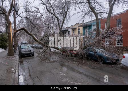 Montreal, CANADA - 5 aprile 2023: Auto sotto l'albero ghiacciato rotto dopo la pioggia gelida Foto Stock