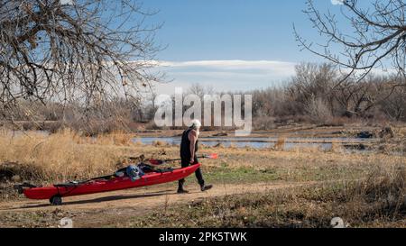 Evans, CO, USA - 1 aprile 2023: Il più anziano, kayaker maschile sta trasportando il suo kayak da mare su un carrello per le prime primaverili a pagaiare sul fiume South Platte a col Foto Stock