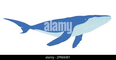 Vector Whale Flat Illustration isolato su uno sfondo bianco. Illustrazione Vettoriale