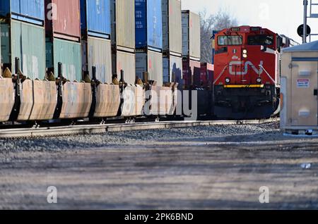 Dundee, Illinois, Stati Uniti. Un treno di trasporto intermodale della ferrovia nazionale canadese che passa un altro trasporto del CN che aspetta su un siding nell'Illinois rurale. Foto Stock