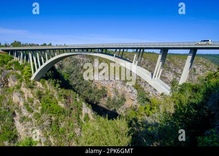 Ponte, Bloukrans River Bridge, Storms River Mouth, Tsitsikamma National Park, Garden Route, Capo orientale, Sudafrica Foto Stock