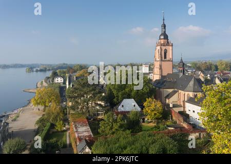 Vista sul villaggio, Eltville am Rhein, Rheingau, Assia, Germania Foto Stock