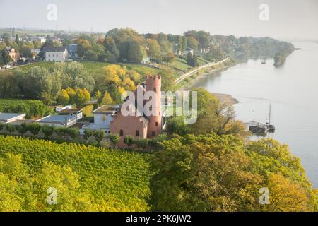Castello di crass, Eltville am Rhein, Rheingau, Assia, Germania Foto Stock