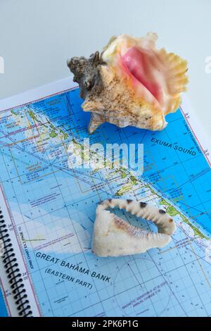 Mappa della Grande Banca Bahama con Conch Shell, Exuma Cays, Bahamas Foto Stock