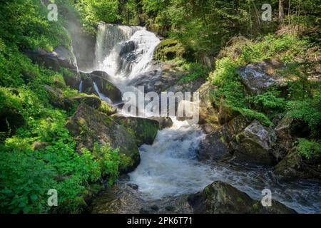 Dettaglio cascate di Triberg - Triberg nella Foresta Nera, Germania Foto Stock