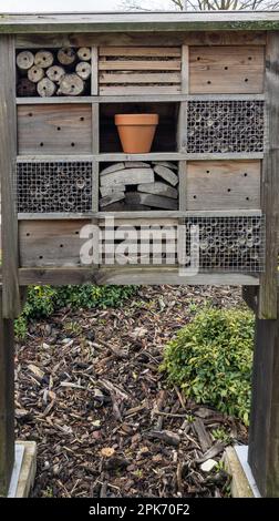 capanna bug hotel insetto casa di legno dare protezione e nidificazione aiuto per api e insetti all'aperto Foto Stock