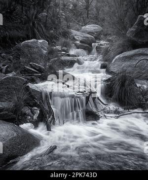 Immagine in bianco e nero delle cascate sulle colline di Perth, Australia Occidentale Foto Stock