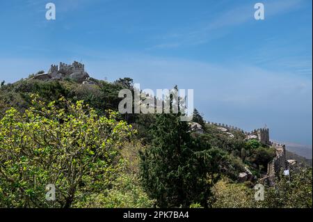 Il Castello dei Mori a Sintra, Portogallo Foto Stock