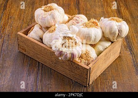 Primo piano di una scatola di legno su un tavolo, riempita con molti bulbi d'aglio appena raccolti Foto Stock