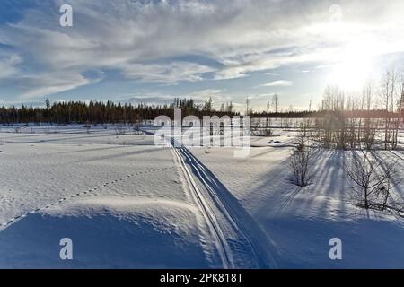 Pista per motoslitte su uno spesso strato di neve nel nord della Svezia. Foto Stock