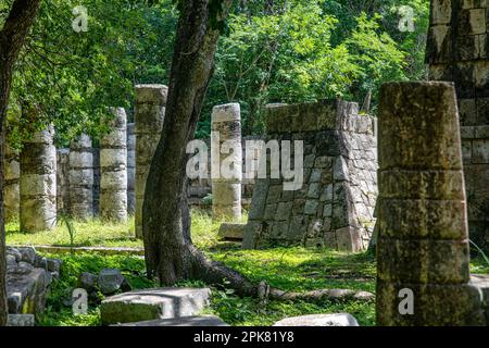 Le migliaia di colonne del sito archeologico di Chichen Itza, è circa la civiltà Maya dove si trova la piramide e il castello considerato su Foto Stock