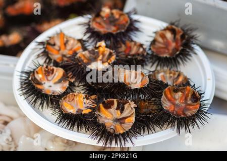 Ricci di mare con uova d'arancia in una toppa pronti a mangiare in un mercato del pesce, o pesca, frutti di mare, sushi Foto Stock