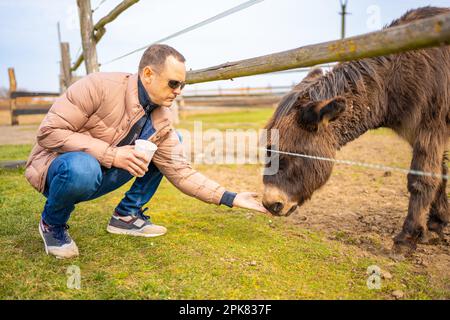 Persone che nutrono l'asino a contatto zoo con animali domestici e persone a Zelcin, repubblica Ceca. Foto Stock