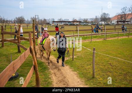 Zelcin, Repubblica Ceca - 19 marzo 2023: Piccola ragazza a cavallo a contatto con gli animali domestici e la gente in Zelcin, repubblica Ceca. Foto Stock