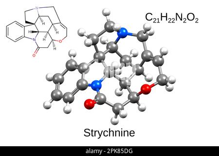 Formula chimica, formula scheletrica e modello 3D a sfera e bastone di stricnina alcaloide, sfondo bianco Foto Stock