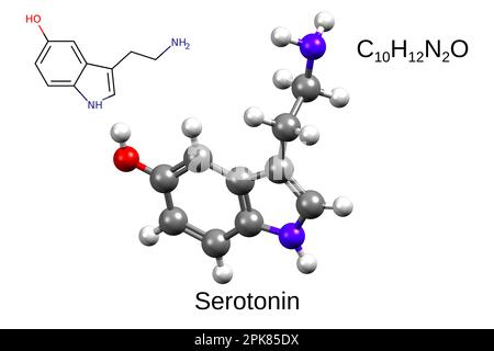 Formula chimica, formula scheletrica e 3D modello a sfera e bastone di serotonina, sfondo bianco Foto Stock