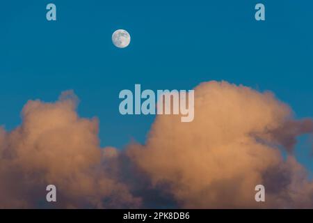 Luna cerante gibbosa un giorno prima della Luna piena che sorge su un cielo blu intenso della sera con nuvole di cumuli colorate Foto Stock