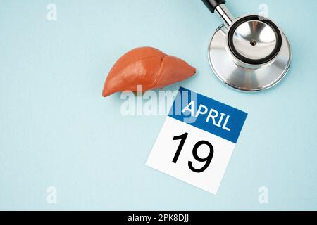 Aprile 19th calendario e fegato umano artificiale con stetoscopio medico. Concetti della Giornata Mondiale del fegato. Foto Stock