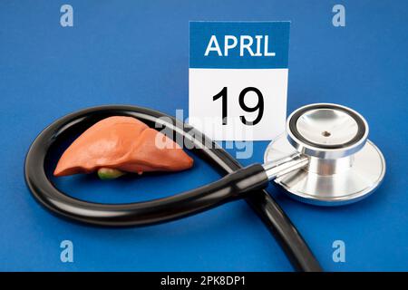 Aprile 19th calendario e fegato umano artificiale con stetoscopio medico. Concetti della Giornata Mondiale del fegato. Foto Stock