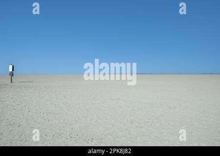 Cani Spiaggia di Sankt Peter - ordinare al Mare del Nord in Frisia del Nord, Penisola di Eiderstedt, Germania Foto Stock