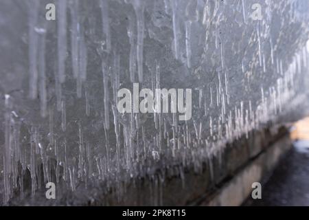 Primo piano di molte piccole ciclicette in inverno Foto Stock