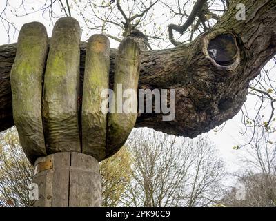 BIDEFORD, DEVON, Regno Unito - APRILE 1st 2023: Mano intagliata che sostiene l'antico albero di castagno aka che aiuta la mano e l'albero di Connker wonky. Foto Stock