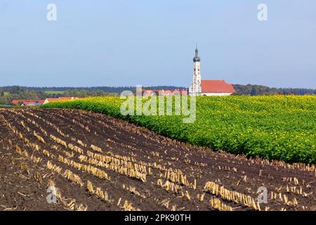 Campagna in Baviera in Germania che mostra una tradizionale torre di cipolle e campo raccolto Foto Stock