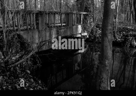 Ponte di cemento su un piccolo fiume nella foresta, fotografia in bianco e nero Foto Stock