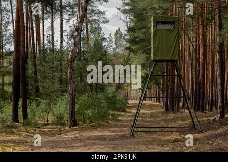 Posto alto per i cacciatori in una pineta Foto Stock