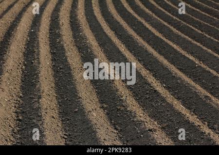 Solchi in un campo fertile e appena arato durante il periodo di semina Foto Stock