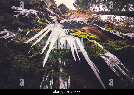 La cascata Burgbach a Bad Rippoldsau-Schapbach, Foresta Nera, splendido paesaggio invernale con neve e ghiaccio Foto Stock