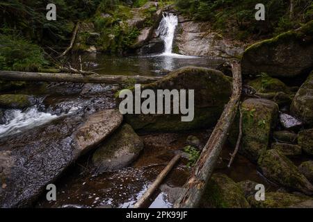 Incredibile cascata nascosta nel profondo delle montagne di Jizera, Repubblica Ceca. Luogo tranquillo e tranquillo con acqua che scorre in cascata fiume. Foto Stock