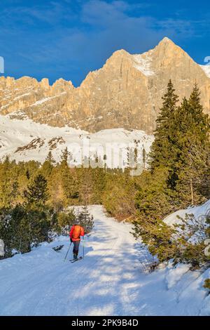 Italia, Trentino Alto Adige / Alto Adige, San Giovanni di Fassa, torna sciatore di campagna nella Val Vaiolet con Catinaccio / Rosengartenspitze sullo sfondo, Val di Fassa, Dolomiti Foto Stock