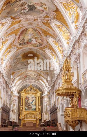 Navata della Cattedrale di San Maria e San Corbiniano. Freising, Baviera, Germania. Foto Stock