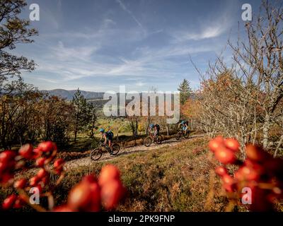 Mountain Biker su un unico percorso nel Vosges Alto. Pascolo montano vicino al Schratzmaennle e linea Kopf. Vista della cresta principale dei Vosgi. Foto Stock