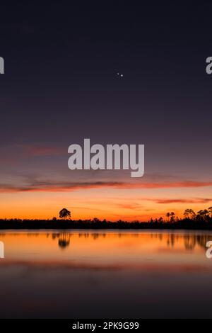 Venere e Giove congiunzione, Pine Glades Lake, il Parco Nazionale delle Everglades, Florida. STATI UNITI Foto Stock