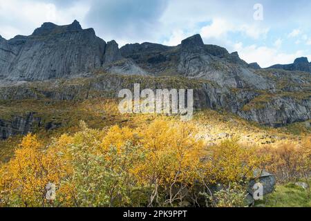 Norvegia, Lofoten, Flakstadoya, strada per Nusfjord, Fylkesvei 807, paesaggio roccioso, atmosfera autunnale Foto Stock