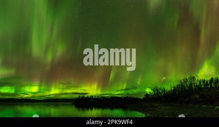 Panorama, Scandinavia, Parco Nazionale Abisko, Torneträsk, aurora con parti verdi (ossigeno) e rosso-viola (azoto) Foto Stock