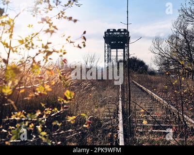 Usedom in autunno, Karnin, ex ponte ferroviario, resti dei binari nel sottobosco, retroilluminazione Foto Stock