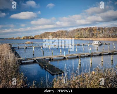 Usedom in autunno, Karnin, porto di barche sportive, molo vuoto Foto Stock