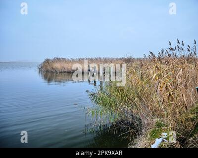 Paesaggio su Usedom in inverno, penisola Cosim, piccolo porto, ingresso porto Foto Stock