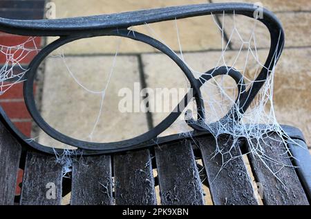 Gennaio ragnatela ragni coperto sul sedile ornamentale Foto Stock