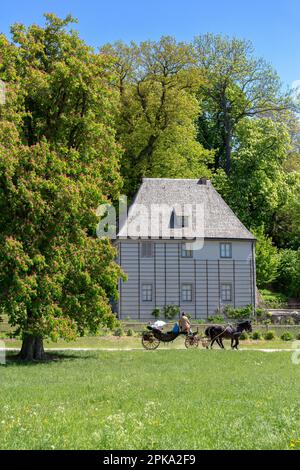 07.05.2018, Germania, Turingia, Weimar - casa giardino di Goethe e giardino nel parco sul ILM. 00A180507D135CAROEX.JPG [VERSIONE DEL MODELLO: NO, PROPRIETÀ Foto Stock