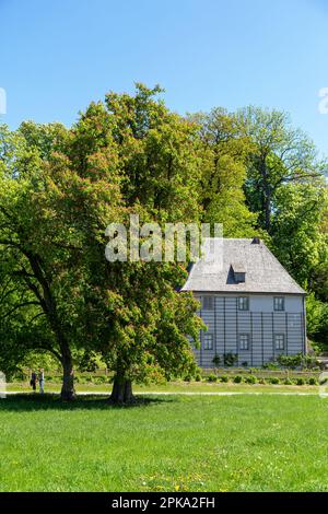 07.05.2018, Germania, Turingia, Weimar - casa giardino di Goethe e giardino nel parco sul ILM. 00A180507D122CAROEX.JPG [VERSIONE DEL MODELLO: NO, PROPRIETÀ Foto Stock