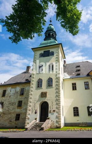 Rymarov (Römerstadt), Castello di Janovice a Moravskoslezsky, Regione Moravo-Slesiana (Regione di Mährisch-schlesische), Repubblica Ceca Foto Stock